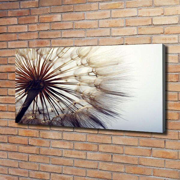 Canvas foto Paardebloem