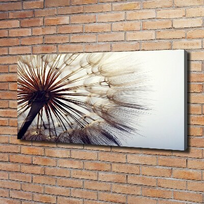 Canvas foto Paardebloem