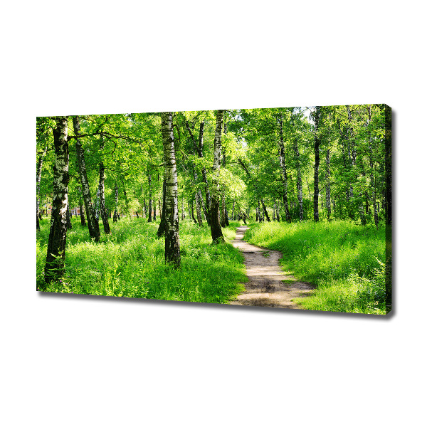 Schilderij op canvas Berkenbos