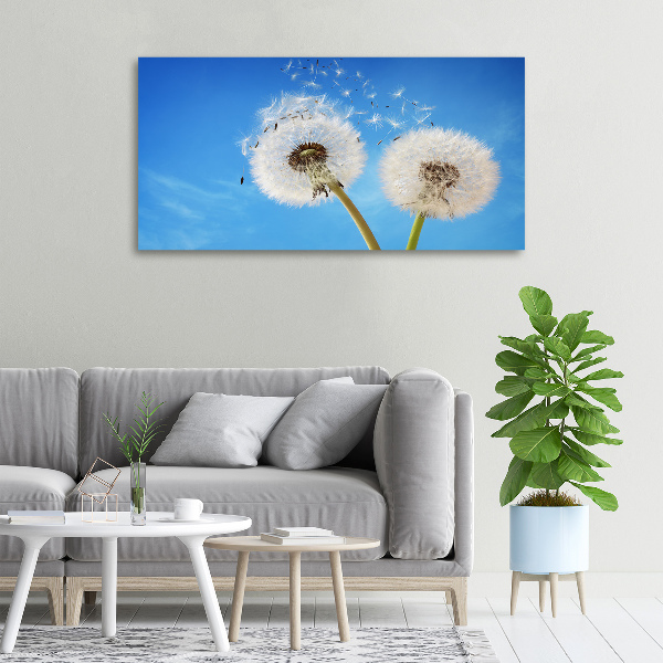 Canvas schilderij Paardenbloemen
