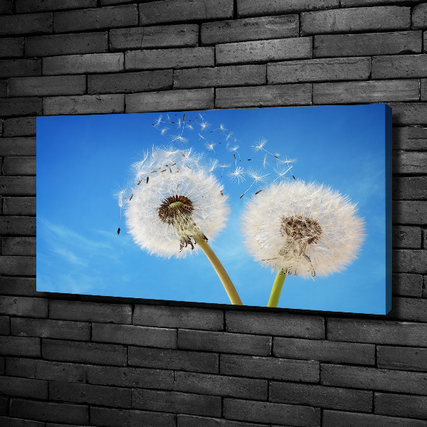 Canvas schilderij Paardenbloemen