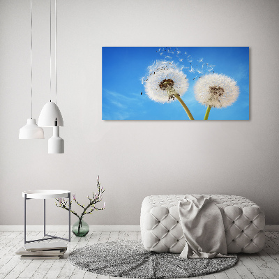 Canvas schilderij Paardenbloemen