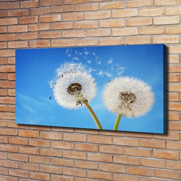 Canvas schilderij Paardenbloemen