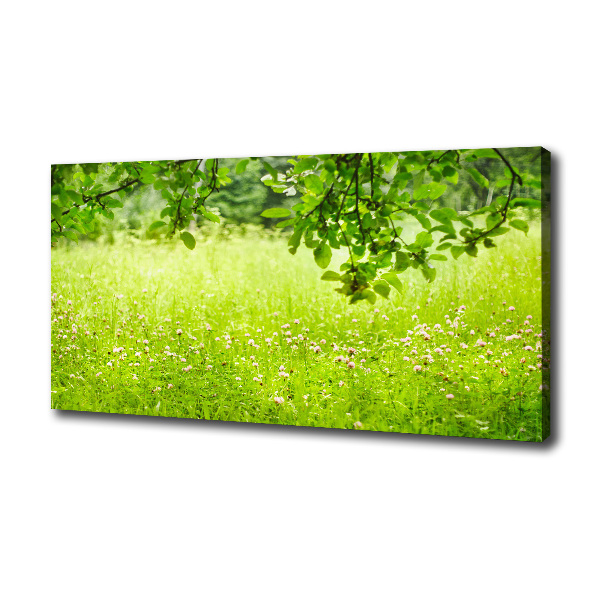 Foto canvas Groene weide