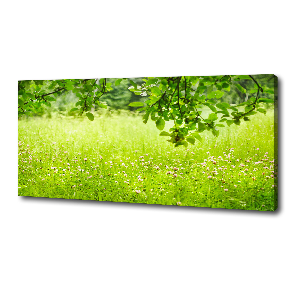 Foto canvas Groene weide