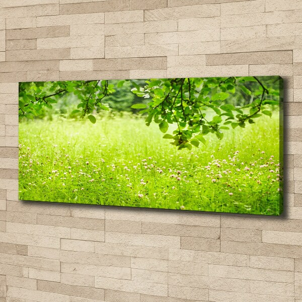 Foto canvas Groene weide