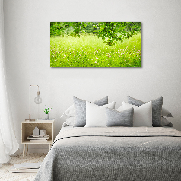 Foto canvas Groene weide