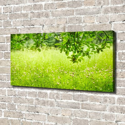 Foto canvas Groene weide