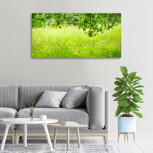 Foto canvas Groene weide