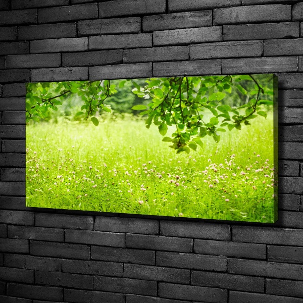 Foto canvas Groene weide