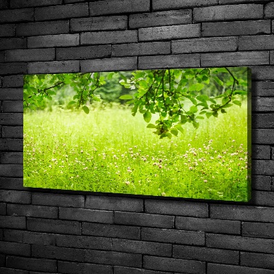 Foto canvas Groene weide