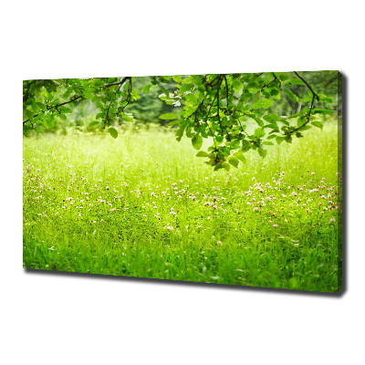 Foto canvas Groene weide