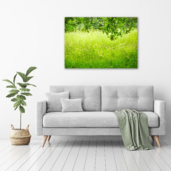 Foto canvas Groene weide