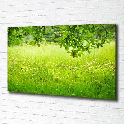 Foto canvas Groene weide