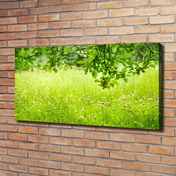 Foto canvas Groene weide