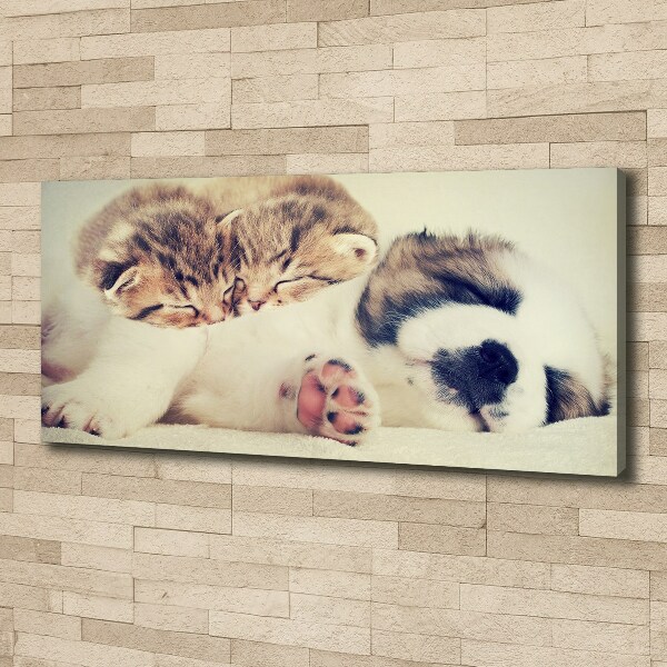 Canvas schilderij Twee katten en een hond