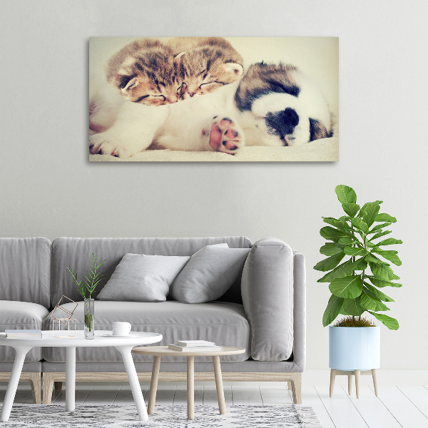 Canvas schilderij Twee katten en een hond