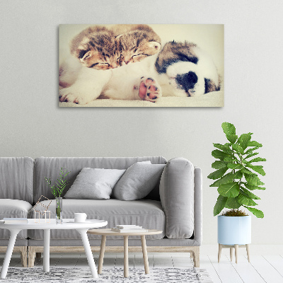 Canvas schilderij Twee katten en een hond