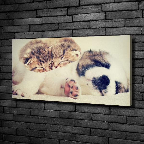 Canvas schilderij Twee katten en een hond