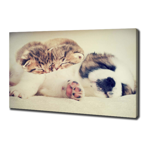 Canvas schilderij Twee katten en een hond