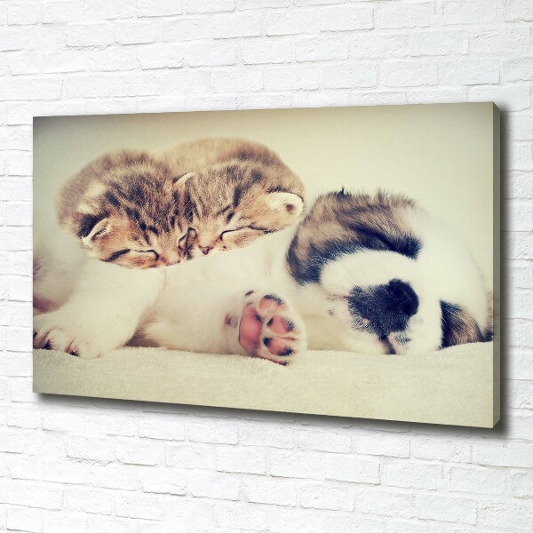 Canvas schilderij Twee katten en een hond