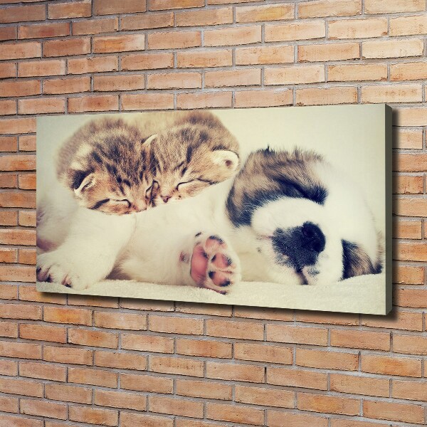 Canvas schilderij Twee katten en een hond