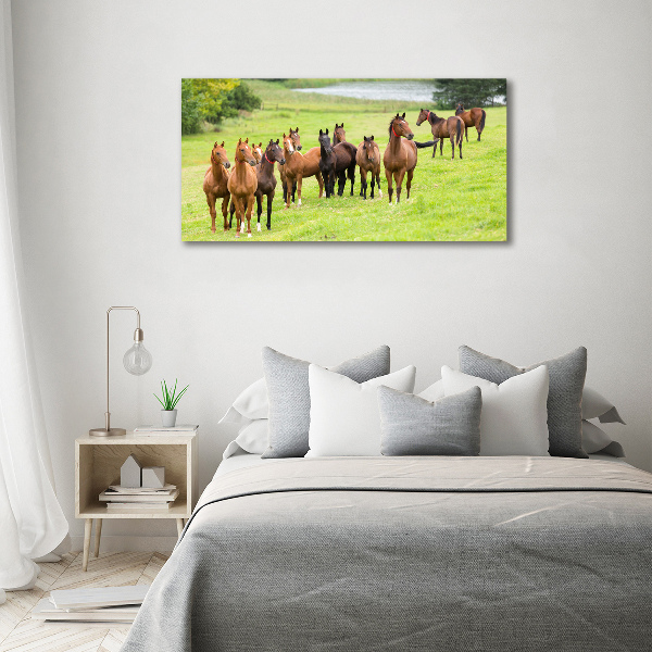 Schilderij op canvas Een kudde paarden in de wei
