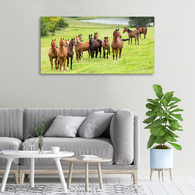 Schilderij op canvas Een kudde paarden in de wei