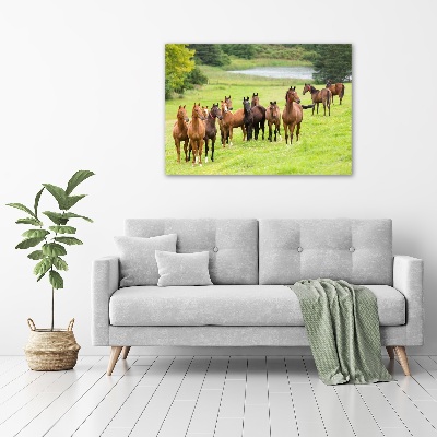 Schilderij op canvas Een kudde paarden in de wei