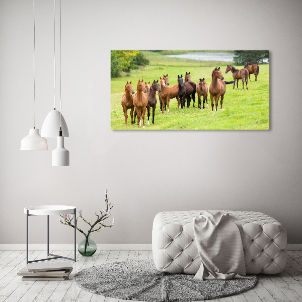 Schilderij op canvas Een kudde paarden in de wei
