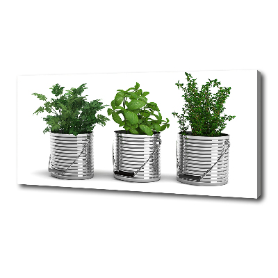 Schilderij op canvas Aromatische planten