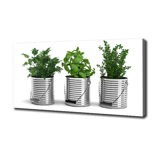 Schilderij op canvas Aromatische planten