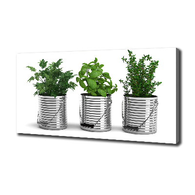 Schilderij op canvas Aromatische planten