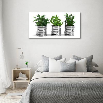Schilderij op canvas Aromatische planten