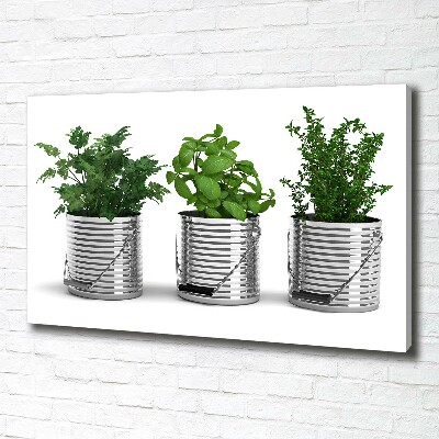Schilderij op canvas Aromatische planten