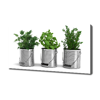 Schilderij op canvas Aromatische planten