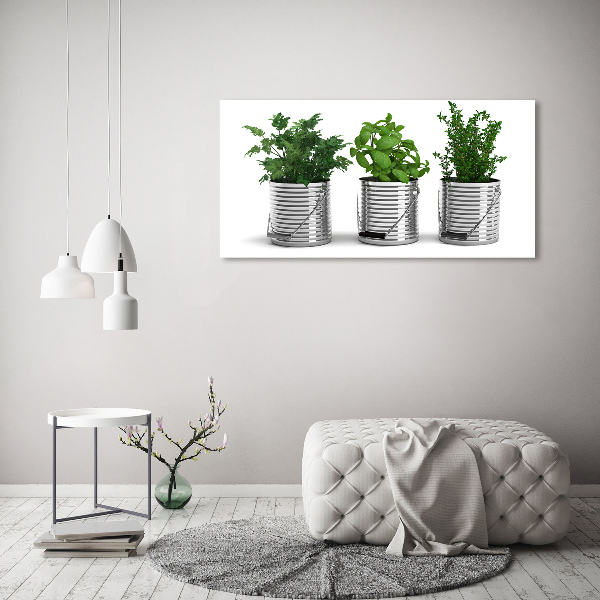 Schilderij op canvas Aromatische planten
