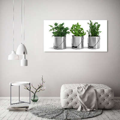 Schilderij op canvas Aromatische planten