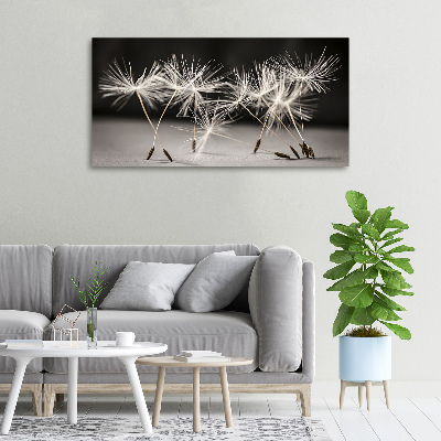 Canvas foto Paardenbloemzaden