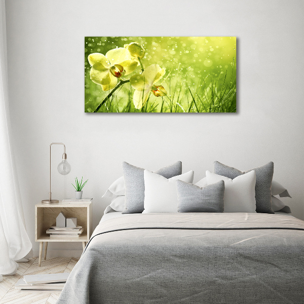 Canvas schilderij Orchidee