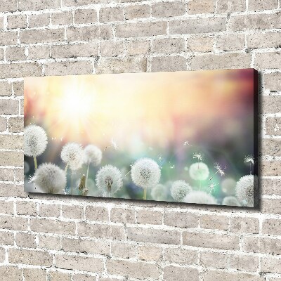 Foto canvas Paardenbloemenveld