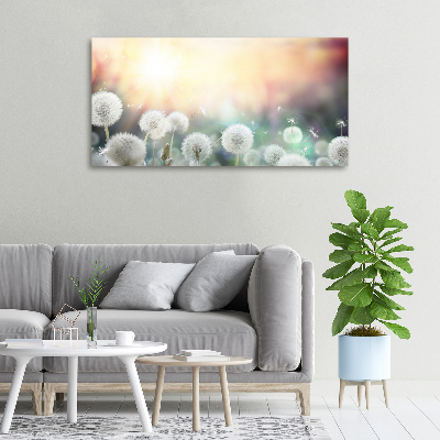 Foto canvas Paardenbloemenveld