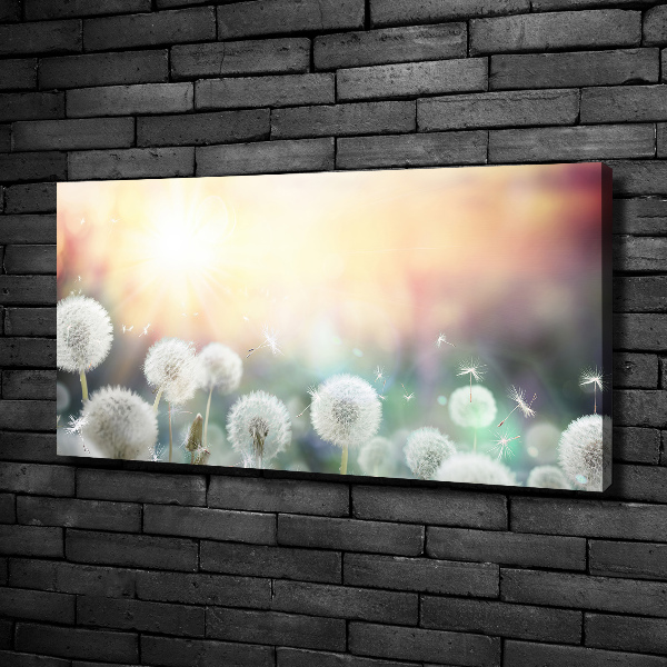 Foto canvas Paardenbloemenveld