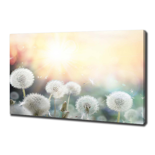 Foto canvas Paardenbloemenveld
