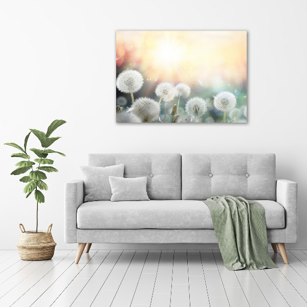 Foto canvas Paardenbloemenveld