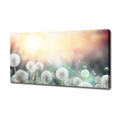 Foto canvas Paardenbloemenveld