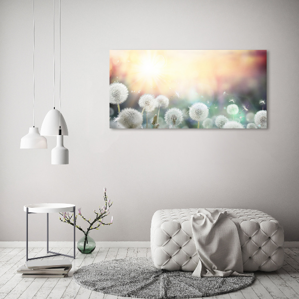 Foto canvas Paardenbloemenveld
