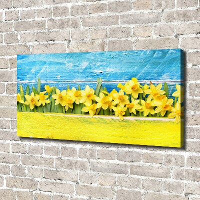 Foto op canvas Narcissen