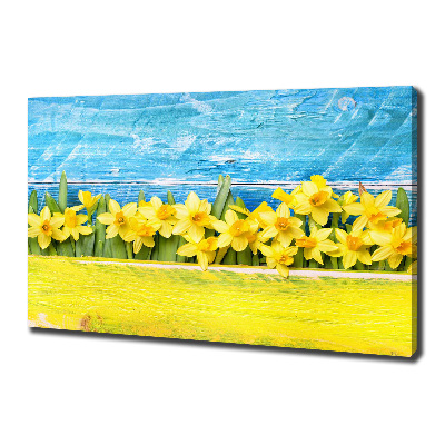Foto op canvas Narcissen