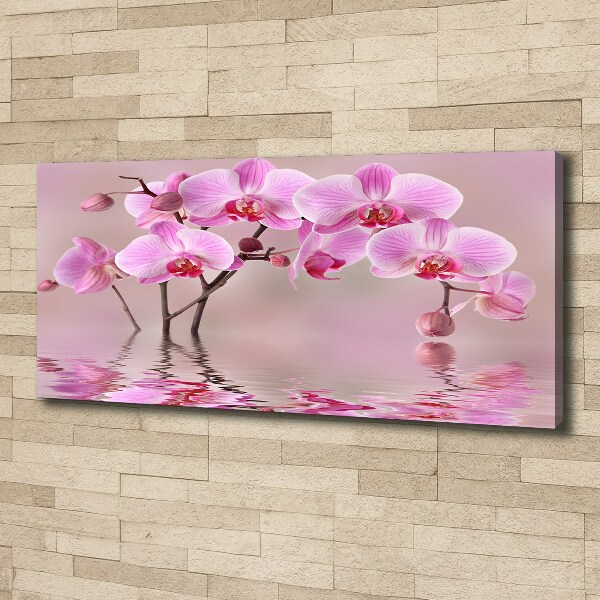 Canvas foto Roze orchidee